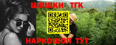 индика Гусиноозёрск